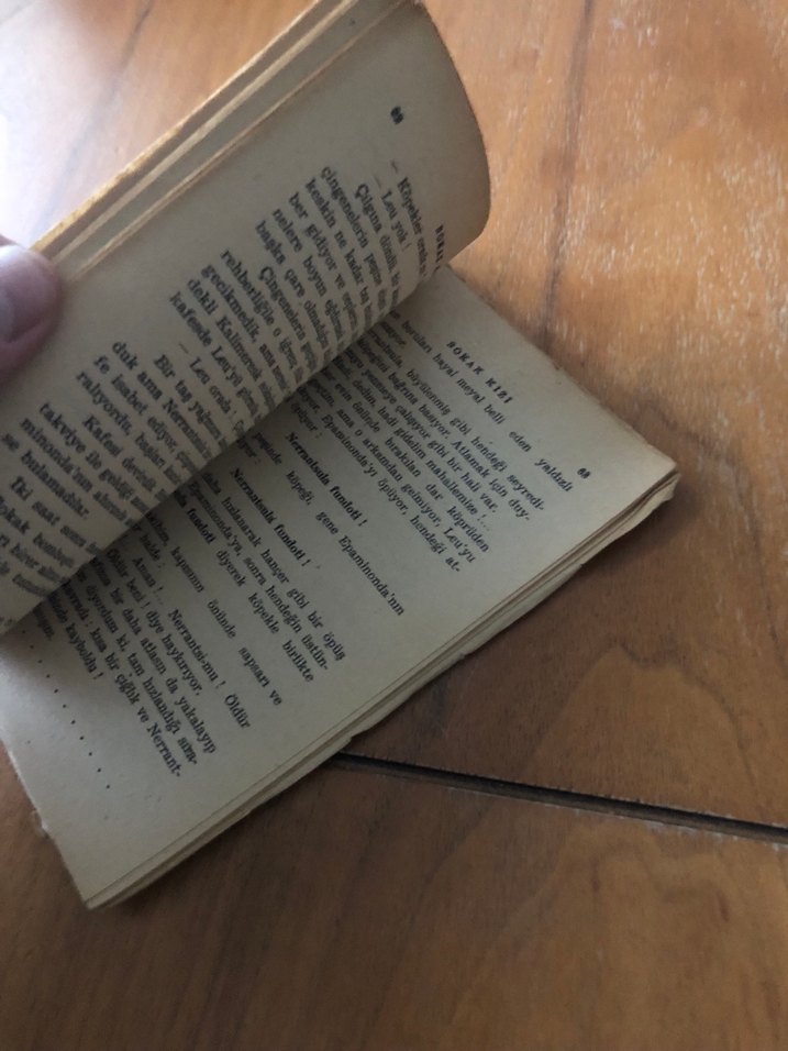 Sokak Kızı - Panait Istrati - Görsel 4