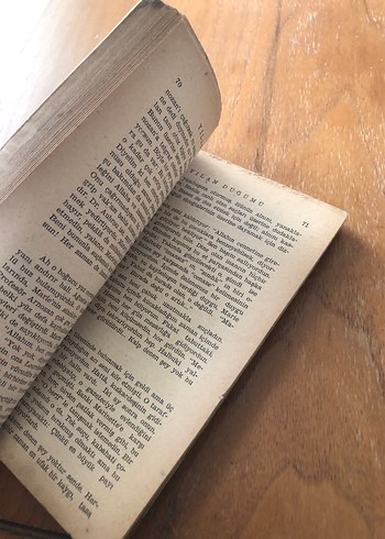 Yılan Düğümü - François Mauriac - Görsel 4