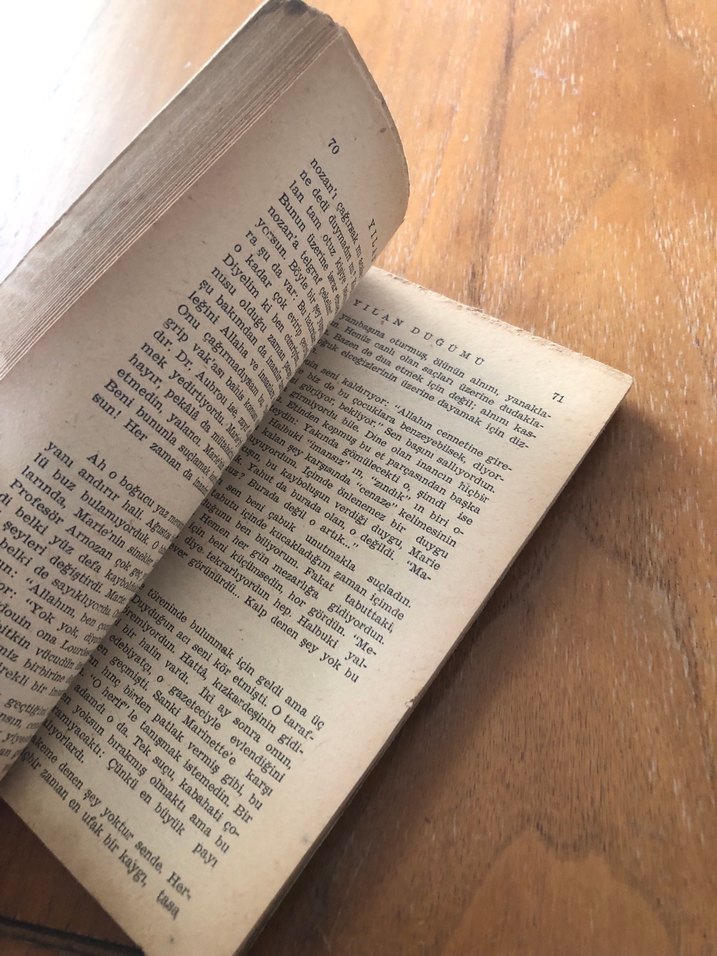 Yılan Düğümü - François Mauriac - Görsel 4