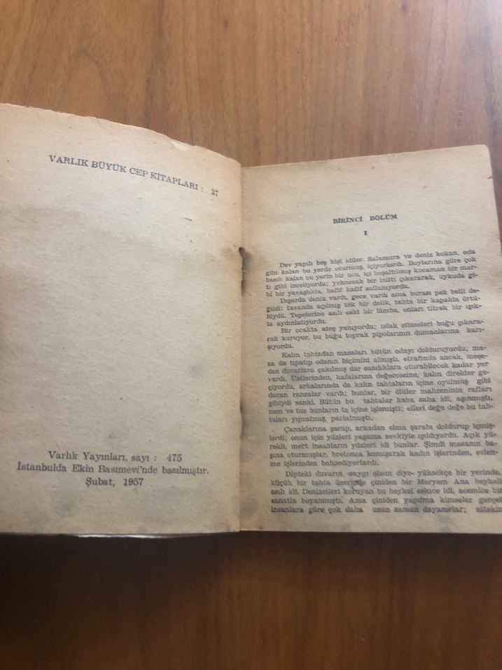 İzlanda Balıkçısı - Pierre Loti - Görsel 3