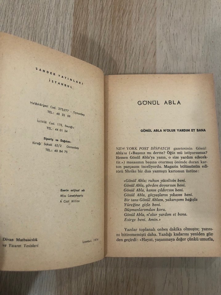 Gönül Abla - Fırsatlar Ülkesi Romanı - Görsel 3