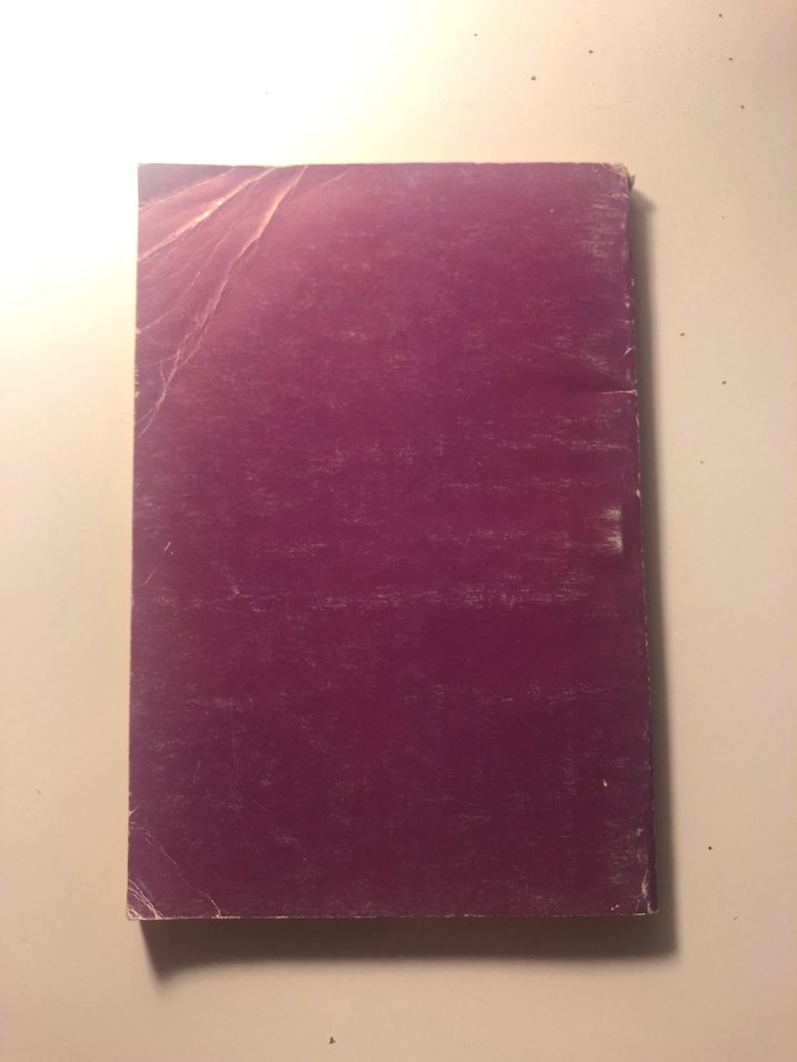 Heidi - Johanna Spyri Türk ve Dünya Klasikleri - Görsel 2