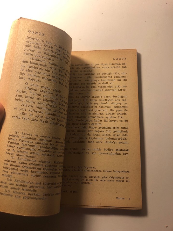 Dante - Dünya Klasikleri Kitabı - Görsel 4