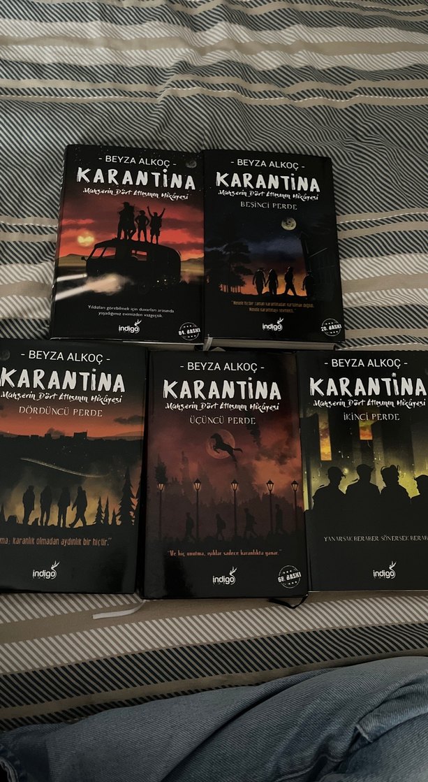 Beyza Alkoç Ciltli Karantina - Görsel 2