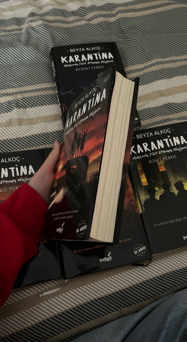 Beyza Alkoç Ciltli Karantina - Görsel 3