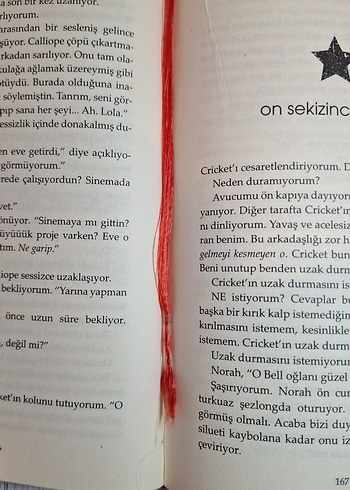 Lola ve Komşu Çocuk - Stephanie Perkins - Görsel 3