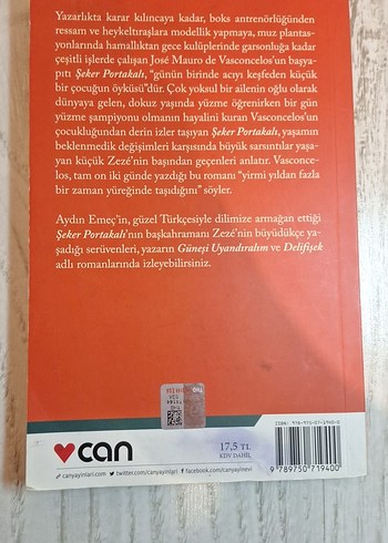 Şeker Portakalı - José Mauro de Vasconcelos - Görsel 2