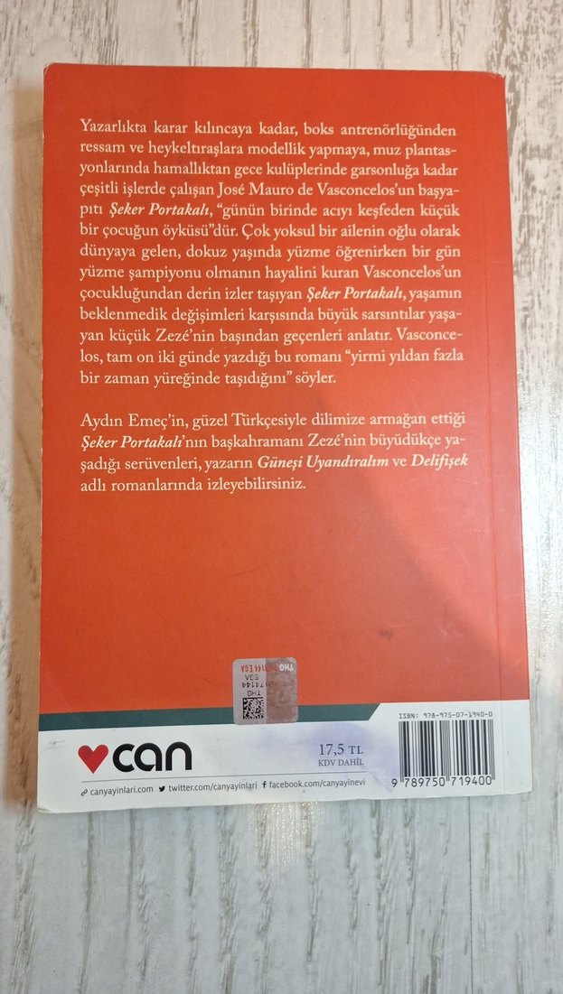 Şeker Portakalı - José Mauro de Vasconcelos - Görsel 2
