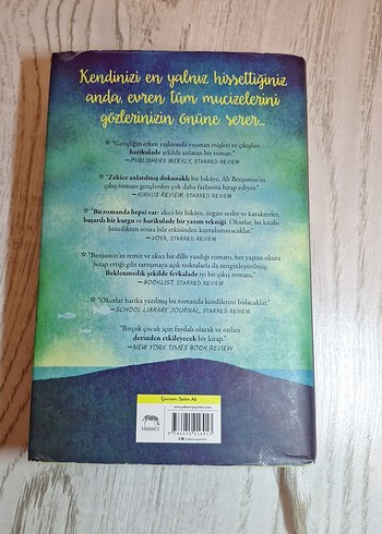 Hayalet Kalp - Ali Benjamin - Görsel 2