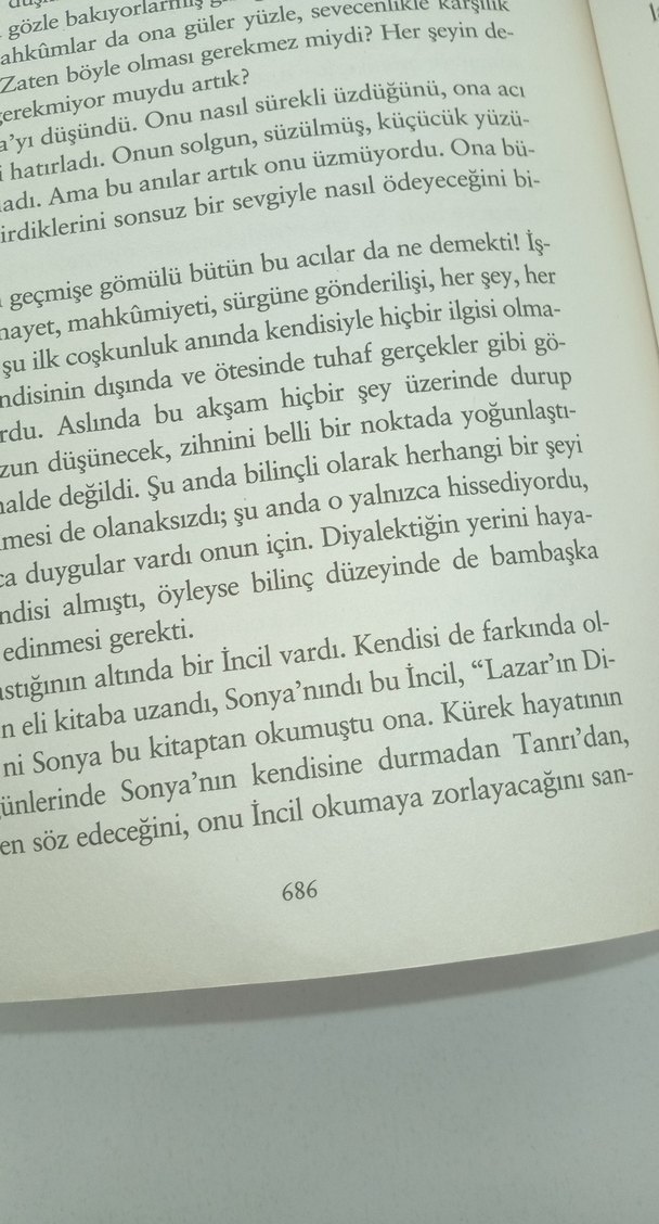 Suç ve Ceza - Fyodor Mihayloviç Dostoyevski - Görsel 4