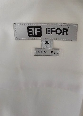 EFOR MARKA XL PAPYON YAKA MANŞETLI GÖMLEK - Görsel 4
