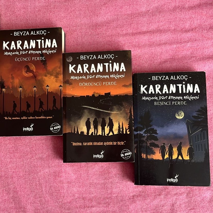 Beyza Alkoç - Karantina Roman Serisi - Görsel 3