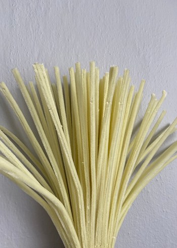 Açık sarı Şönil - Görsel 3