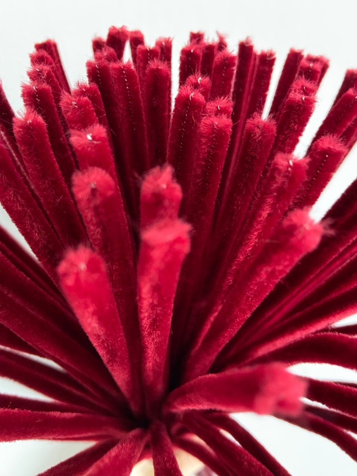 Bordo Şönil - Görsel 2