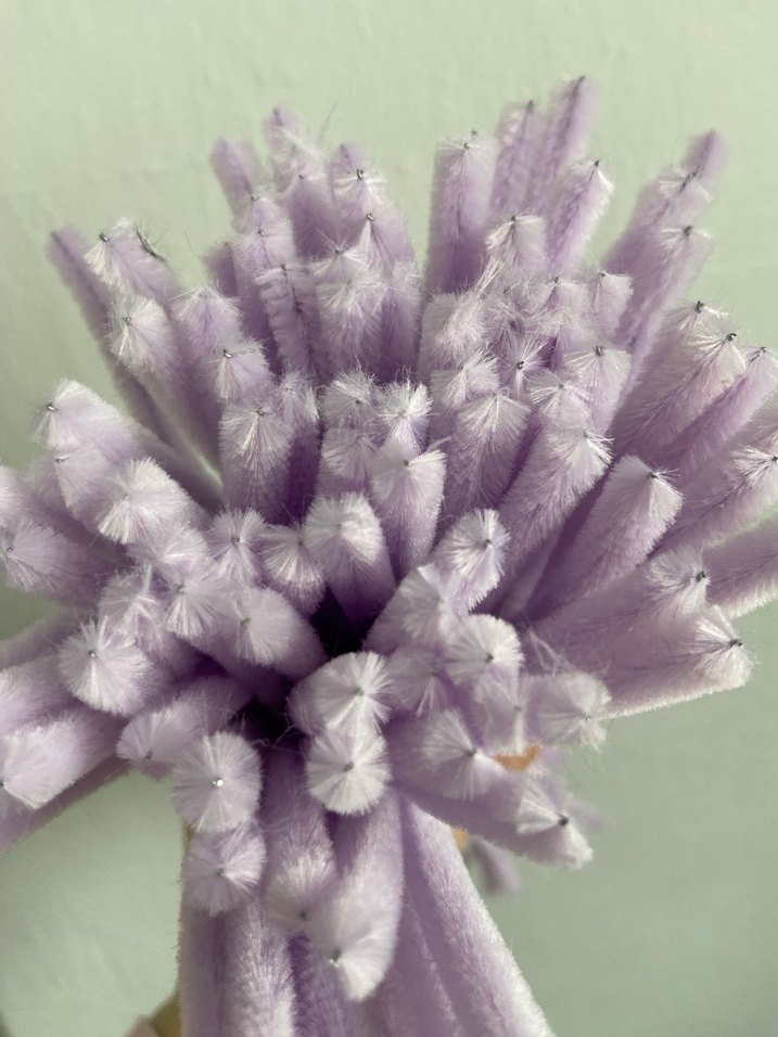 Lila renk Şönil l - Görsel 3