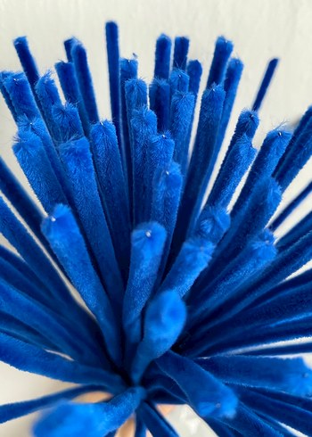 Parlament mavi Şönil - Görsel 2