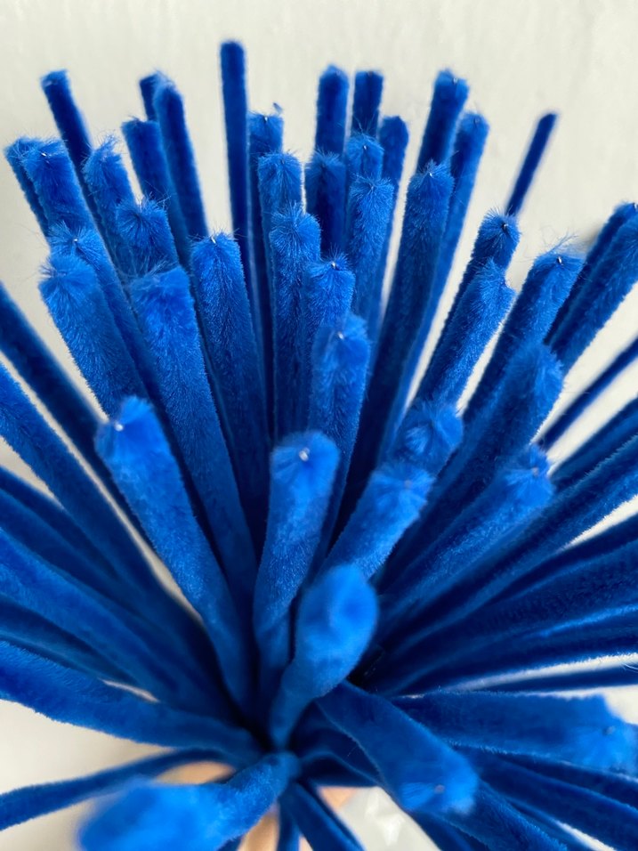 Parlament mavi Şönil - Görsel 2