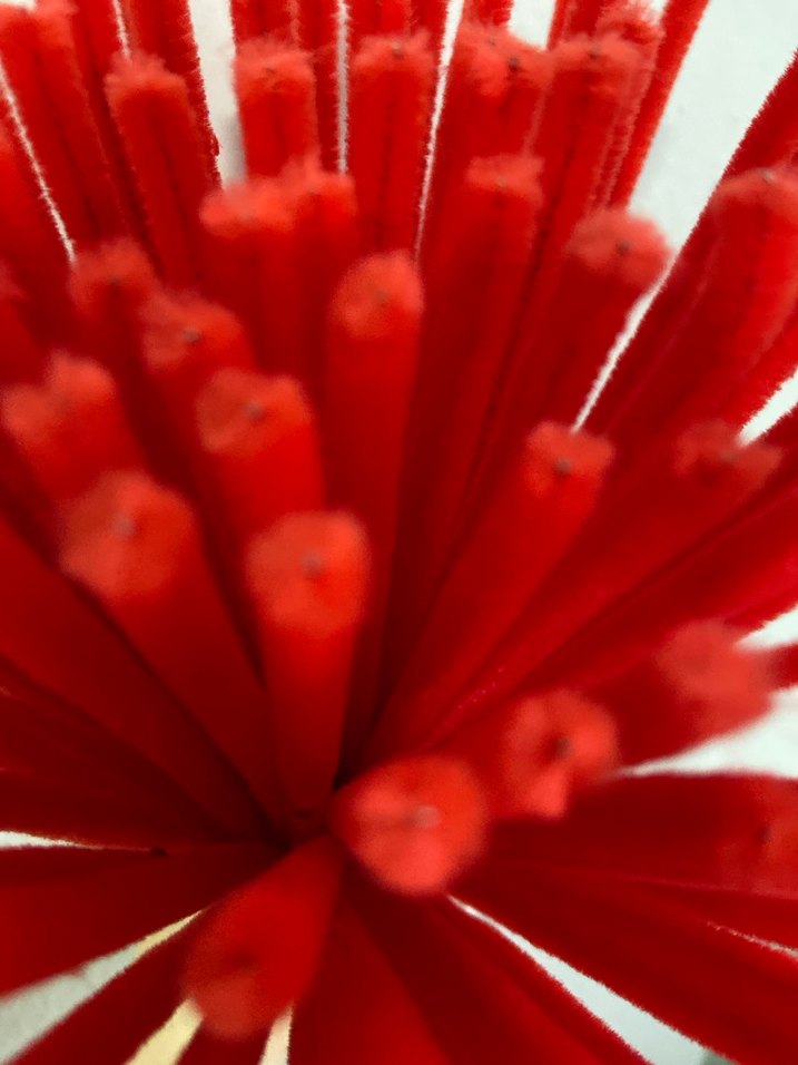 Kırmızı Şönil - Görsel 2