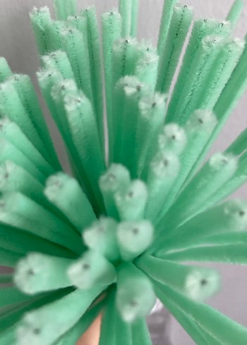 Su yeşili Şönil - Görsel 2