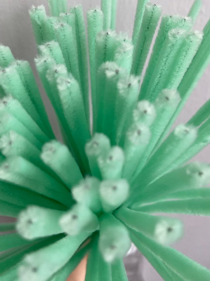 Su yeşili Şönil - Görsel 2