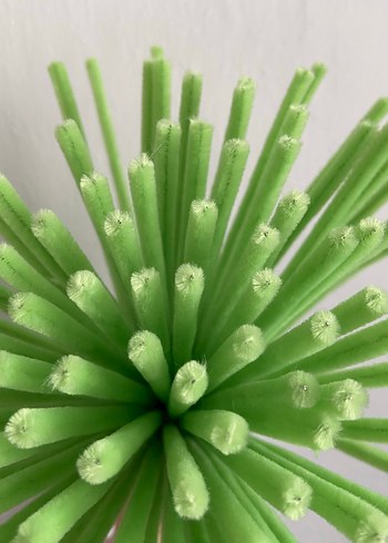 Fıstık yeşili Şönil - Görsel 2