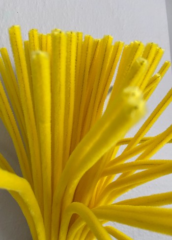 Civciv sarısı - Görsel 2