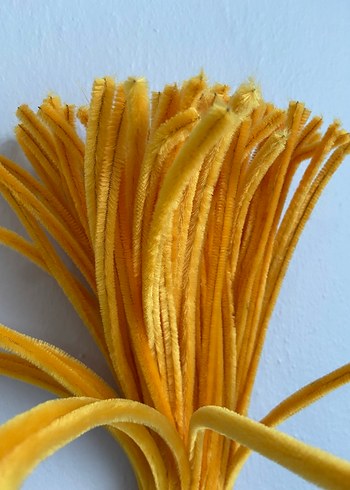 Papatya sarısı Şönil - Görsel 2