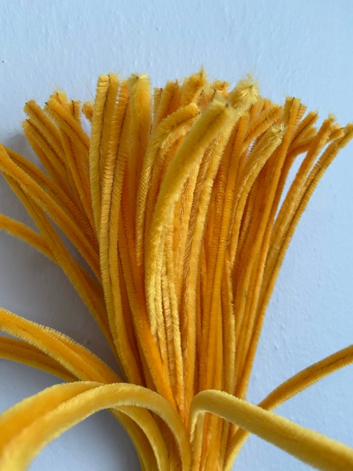 Papatya sarısı Şönil - Görsel 2