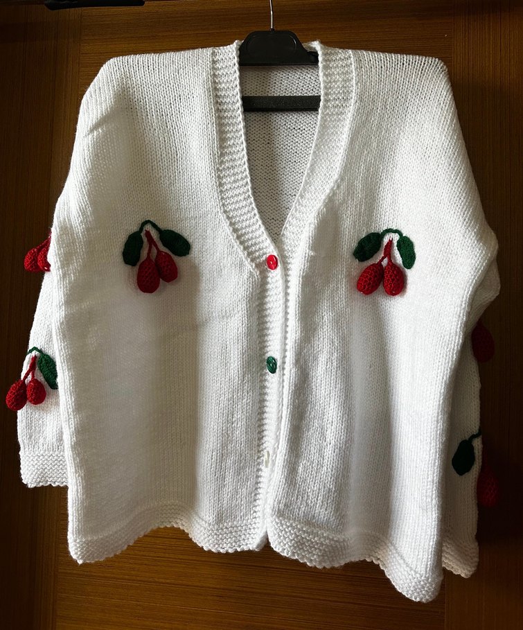 Nakışlı Beyaz Örgü  Hırka - Görsel 3