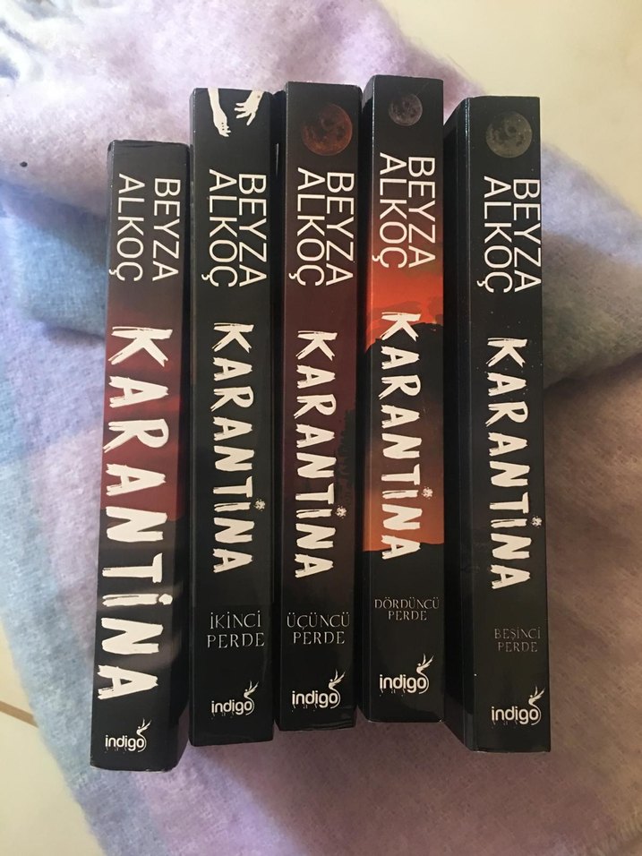 Karantina Roman Serisi - Görsel 3