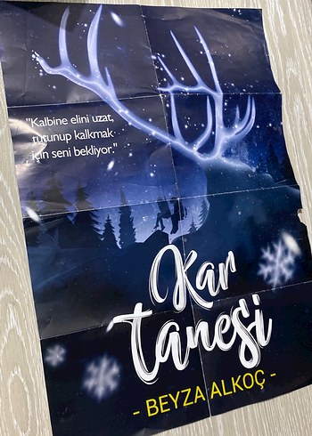 Kar Tanesi - Beyza Alkoç - Görsel 3