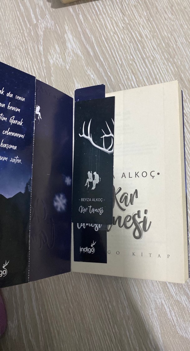 Kar Tanesi - Beyza Alkoç - Görsel 2