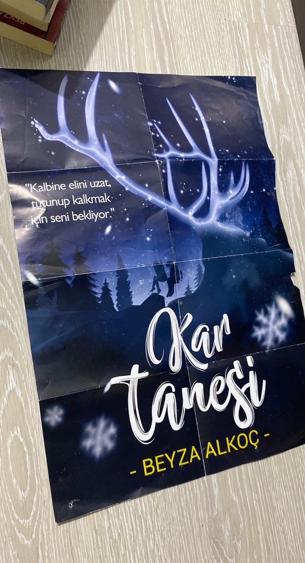 Kar Tanesi - Beyza Alkoç - Görsel 3