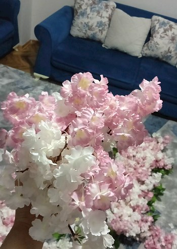 Pembe organizasyon çiçeği - Görsel 3