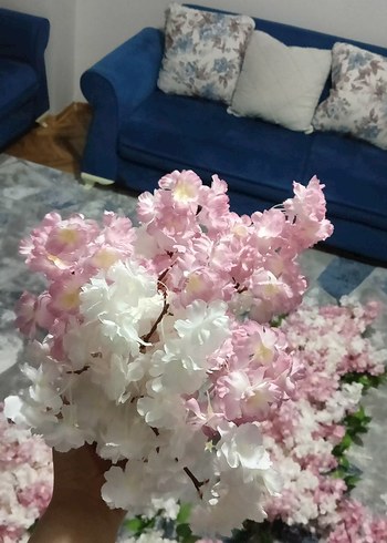 Pembe organizasyon çiçeği - Görsel 4