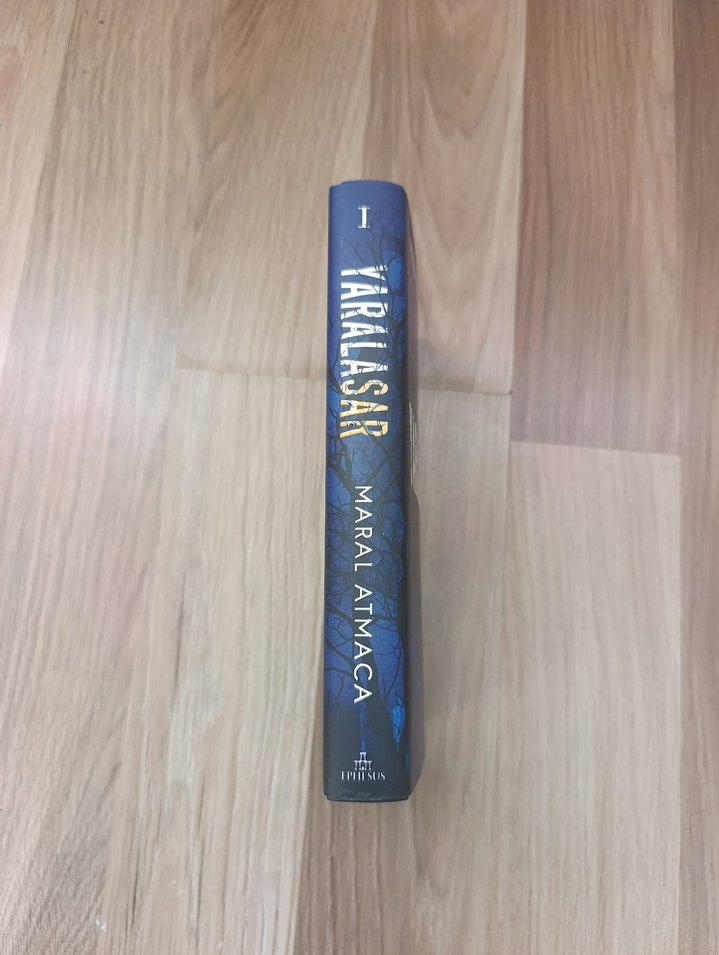 Yaralasar 1- Maral Atmaca - Görsel 2