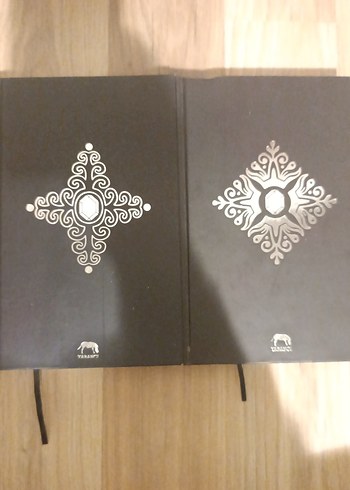 Fable Efsane - Adrienne Young Roman Seti - Görsel 2