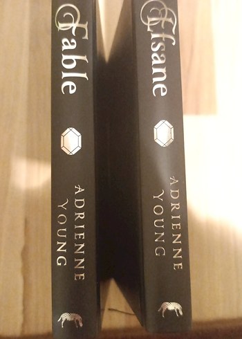 Fable Efsane - Adrienne Young Roman Seti - Görsel 3