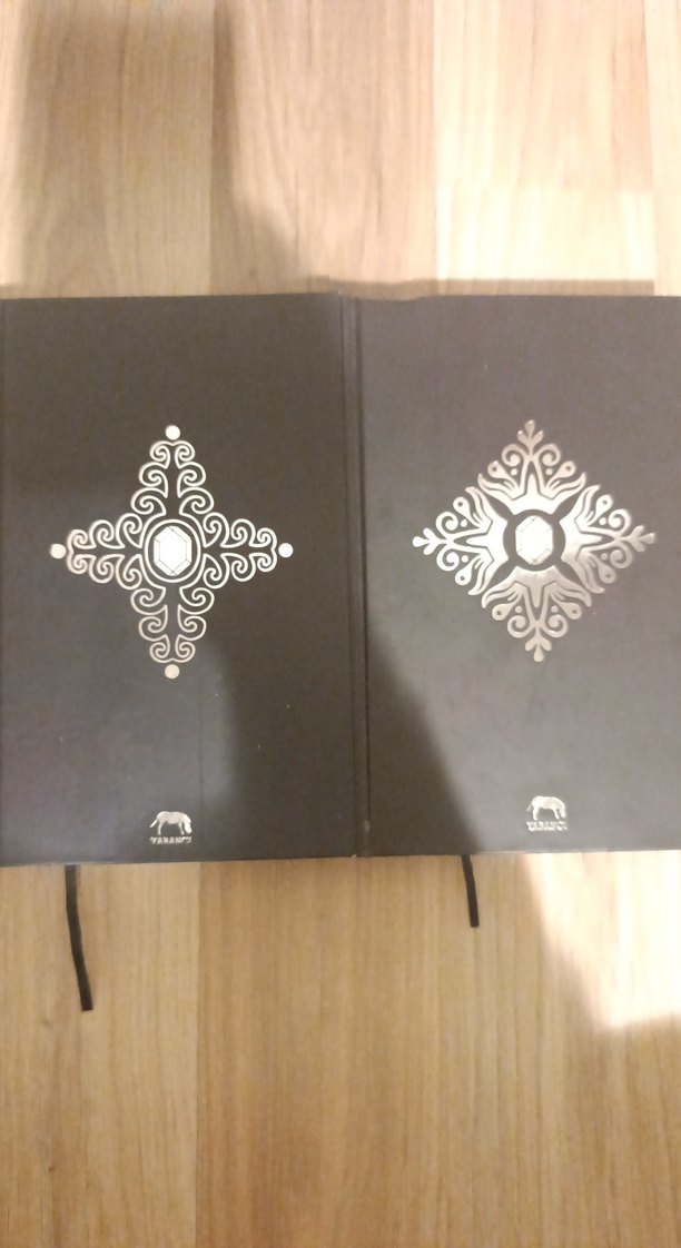 Fable Efsane - Adrienne Young Roman Seti - Görsel 2