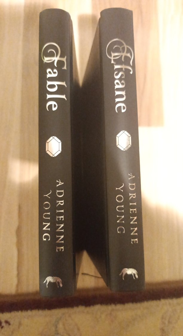 Fable Efsane - Adrienne Young Roman Seti - Görsel 3