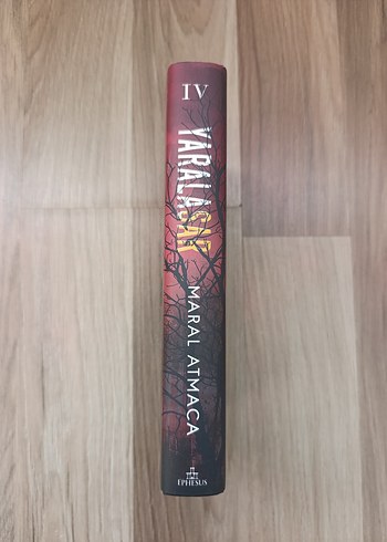 Yaralasar 4- Maral Atmaca - Görsel 2