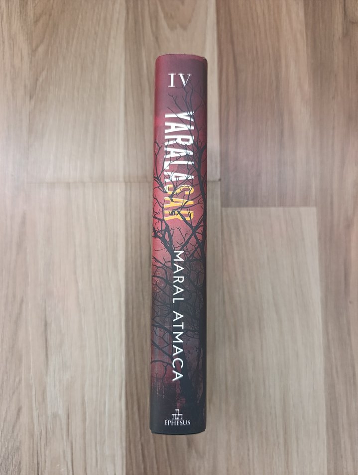 Yaralasar 4- Maral Atmaca - Görsel 2