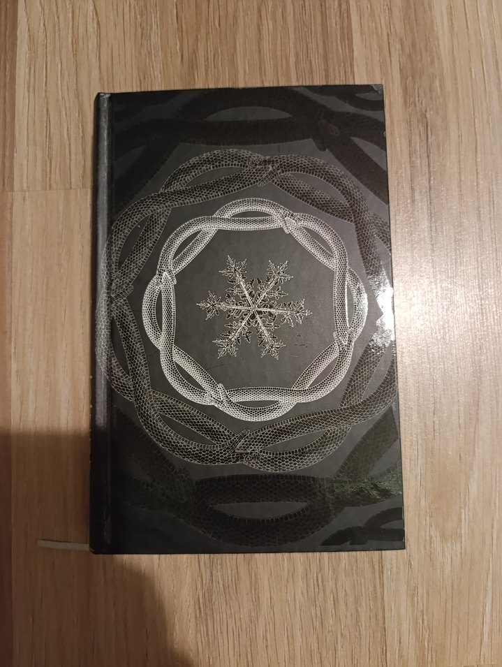 İçinde Bir Sen - Binnur Şafak Nigiz - Görsel 4