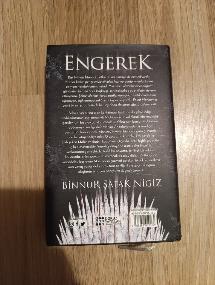 İçinde Bir Sen - Binnur Şafak Nigiz - Görsel 3