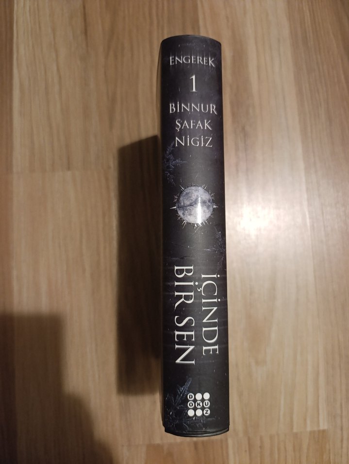 İçinde Bir Sen - Binnur Şafak Nigiz - Görsel 2