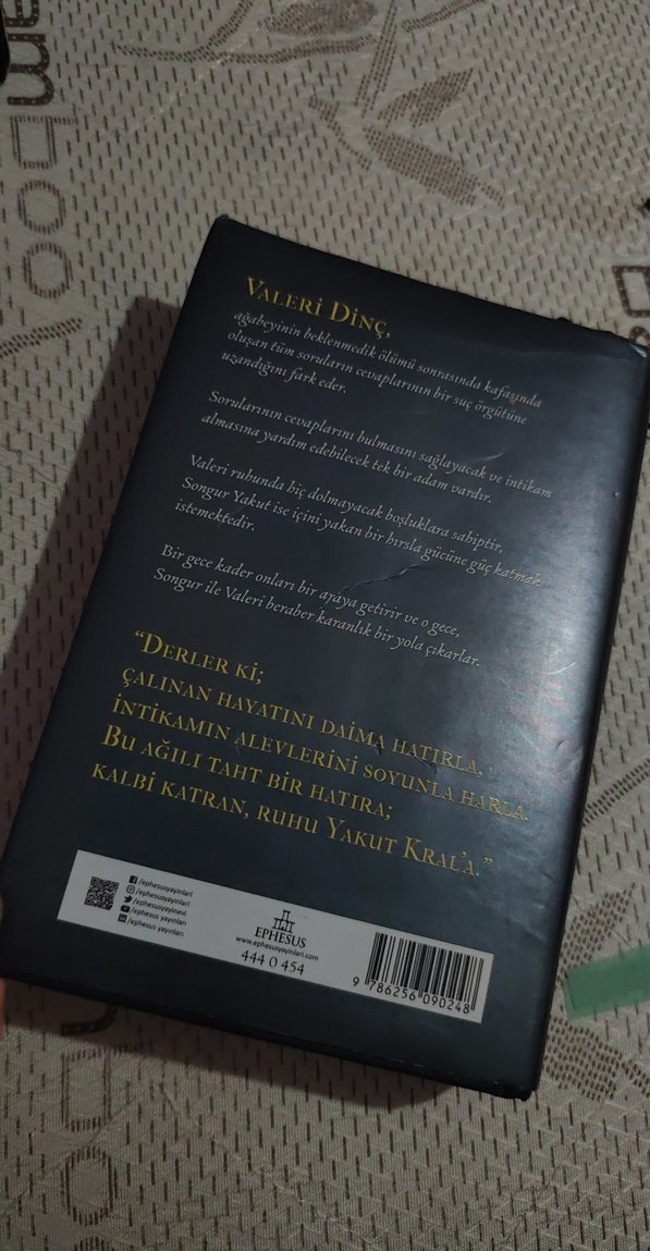 Kasırgaya Kanan Saka 1 ciltli - Görsel 2