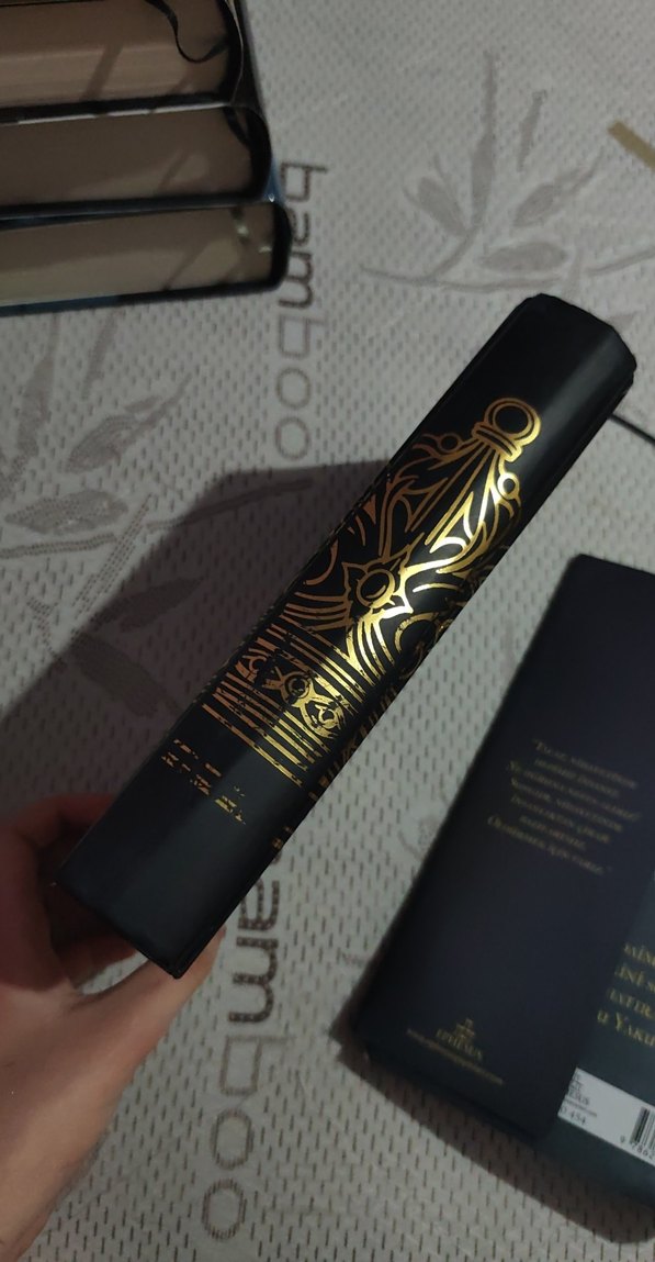 Kasırgaya Kanan Saka 1 ciltli - Görsel 4