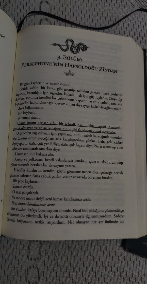 Kasırgaya Kanan Saka 1 ciltli - Görsel 5