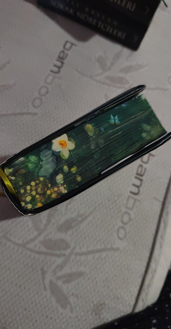 Gökçen 4 - Masallar ve Sonları yan baskılı - Görsel 4