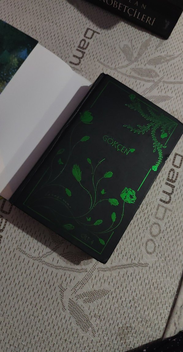 Gökçen 4 - Masallar ve Sonları yan baskılı - Görsel 5
